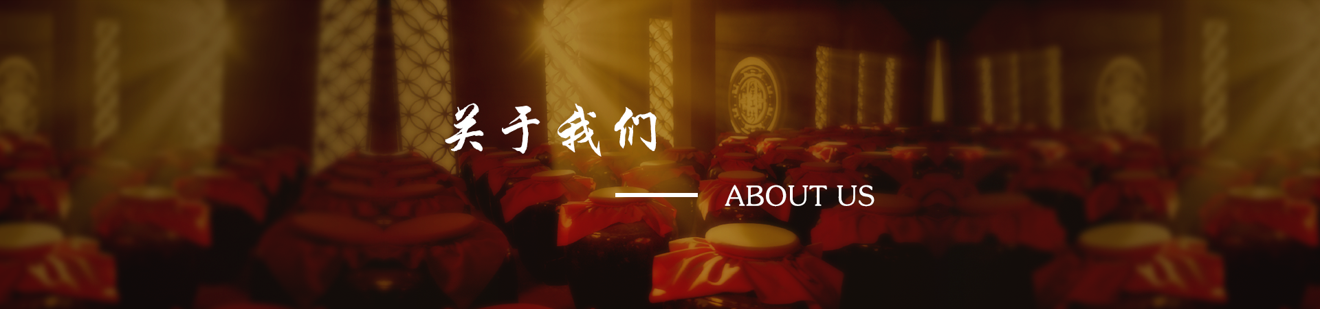 公司简介